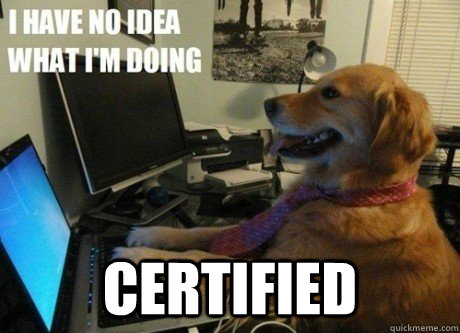  CERTIFIED -  CERTIFIED  I have no idea what Im doing dog