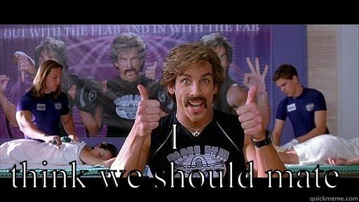 Dodge my Wrench  -  I THINK WE SHOULD MATE Misc