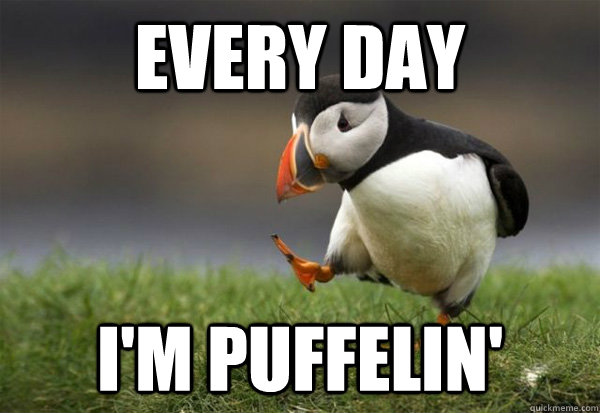 every day i'm puffelin' - every day i'm puffelin'  Puffin