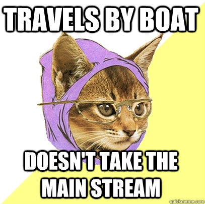 travels by boat doesn't take the main stream  Hipster Kitty