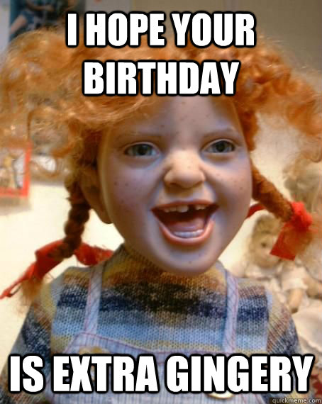 i hope your birthday is extra gingery - i hope your birthday is extra gingery  ginger birthday