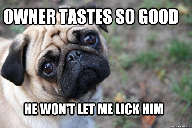 Owner tastes so good He Won't let me lick him  First World Dog problems