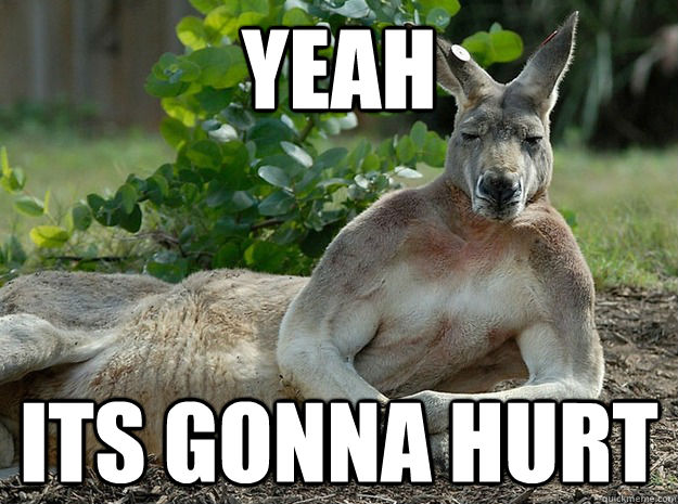 yeah its gonna hurt - yeah its gonna hurt  Sexually Forward Kangaroo