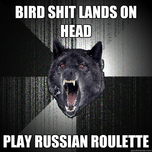 BIRD shit lands on HEAD PLAY RUSSIAN ROULETTE  Insanity Wolf
