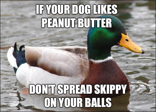 If your dog likes 
peanut butter Don't spread Skippy 
on your balls  Actual Advice Mallard