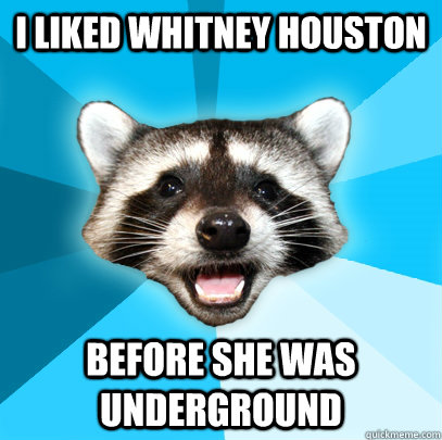 I LIKED WHITNEY HOUSTON BEFORE SHE WAS UNDERGROUND  Lame Pun Coon