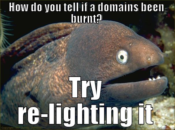 HOW DO YOU TELL IF A DOMAINS BEEN BURNT? TRY RE-LIGHTING IT Bad Joke Eel