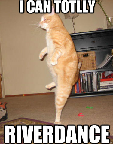 i can totlly  riverdance - i can totlly  riverdance  Stairs Cat