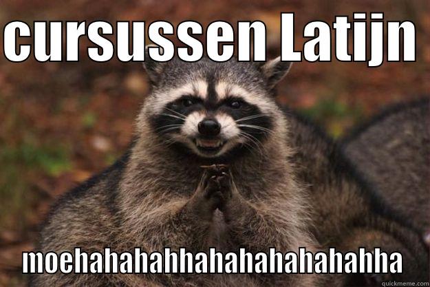 CURSUSSEN LATIJN  MOEHAHAHAHHAHAHAHAHAHAHHA Evil Plotting Raccoon