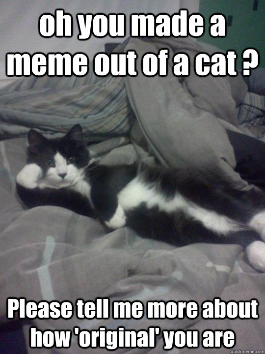 oh you made a meme out of a cat ? Please tell me more about how 'original' you are - oh you made a meme out of a cat ? Please tell me more about how 'original' you are  Misc