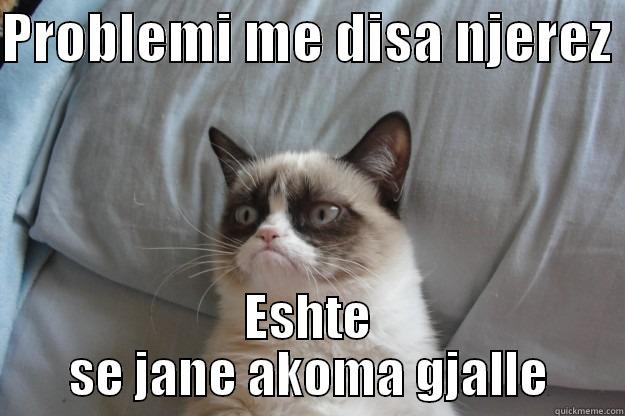 PROBLEMI ME DISA NJEREZ  ESHTE SE JANE AKOMA GJALLE Grumpy Cat