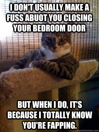 I don't usually make a fuss abuot you closing your bedroom door but when I do, it's because I totally know you're fapping.  The Most Interesting Cat in the World