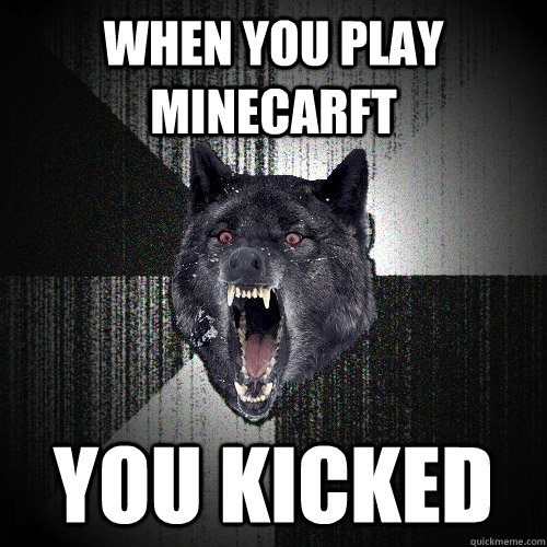 When you play minecarft You kicked   Insanity Wolf