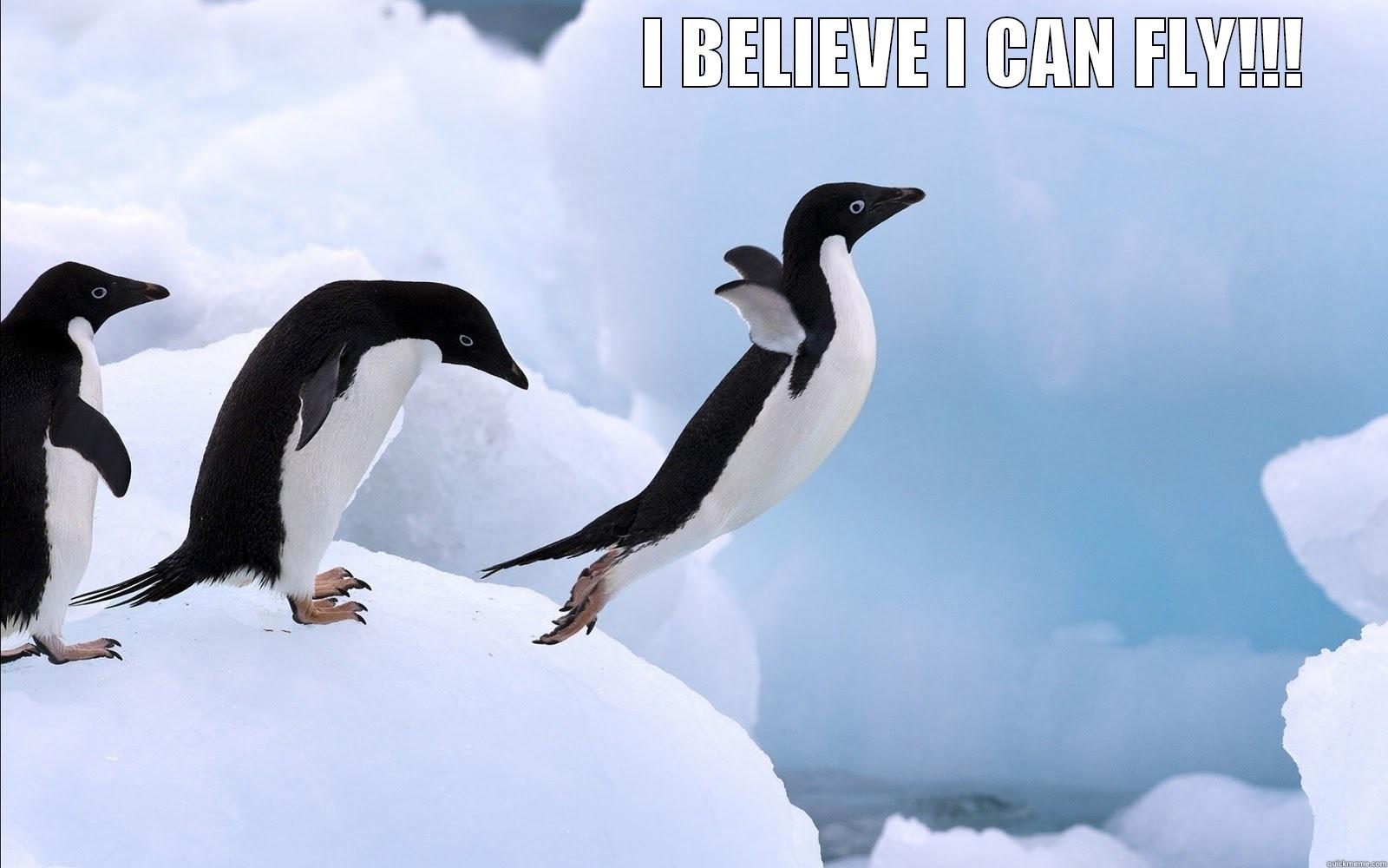 fly penguins, fly -                                       I BELIEVE I CAN FLY!!!  Misc