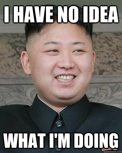I Have no idea What I'm Doing  North Korea