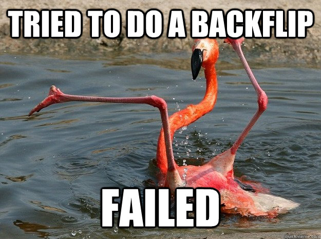 Tried to do a backflip FAILED - Tried to do a backflip FAILED  Fail Flamingo