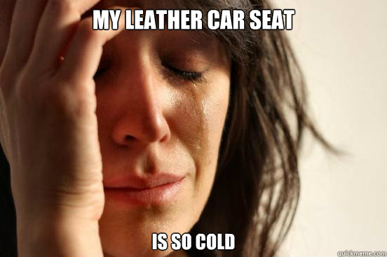 my leather car seat is so cold  First World Problems