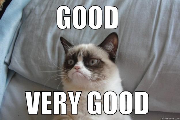 GOOD VERY GOOD Grumpy Cat