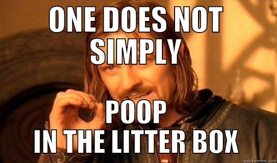 POOP MORDOR - ONE DOES NOT SIMPLY POOP IN THE LITTER BOX One Does Not Simply