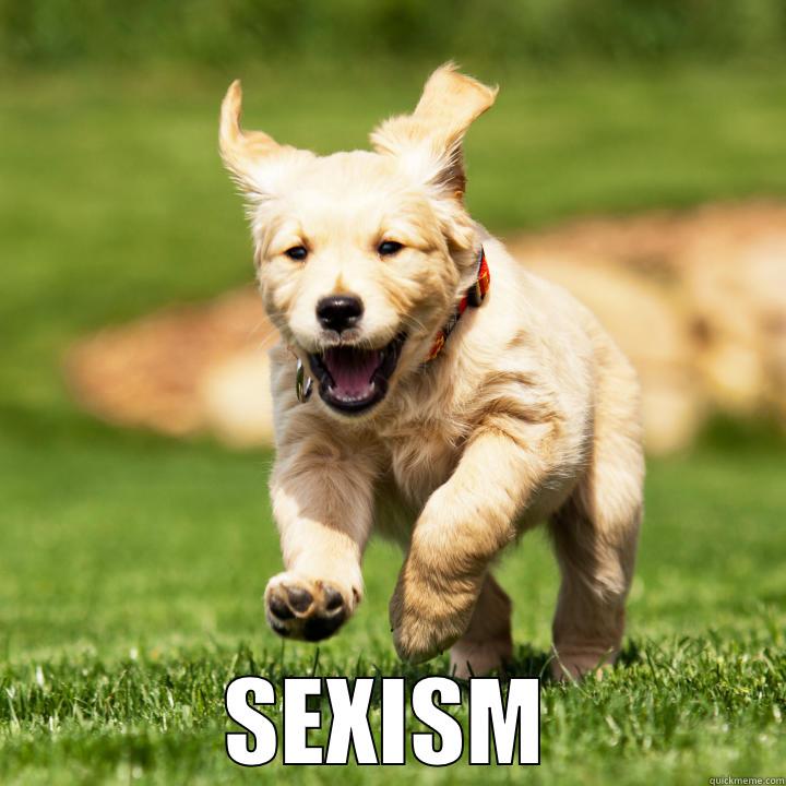  SEXISM Misc