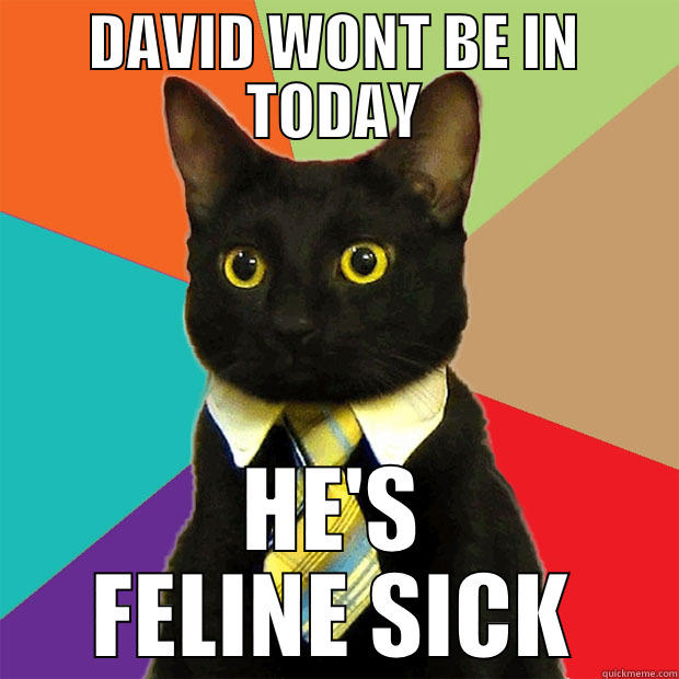 DAVID WONT BE IN TODAY HE'S FELINE SICK Business Cat
