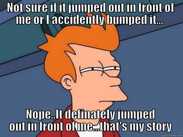 NOT SURE IF IT JUMPED OUT IN FRONT OF ME OR I ACCIDENTLY BUMPED IT...  NOPE..IT DEFINATELY JUMPED OUT IN FRONT OF ME...THAT'S MY STORY Futurama Fry