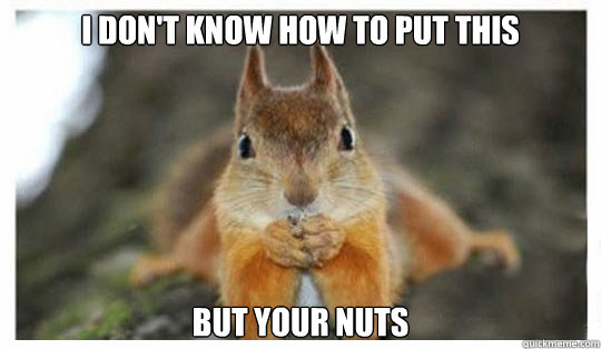 I don't know how to put this But your nuts - I don't know how to put this But your nuts  Psychiatrist Squirrel