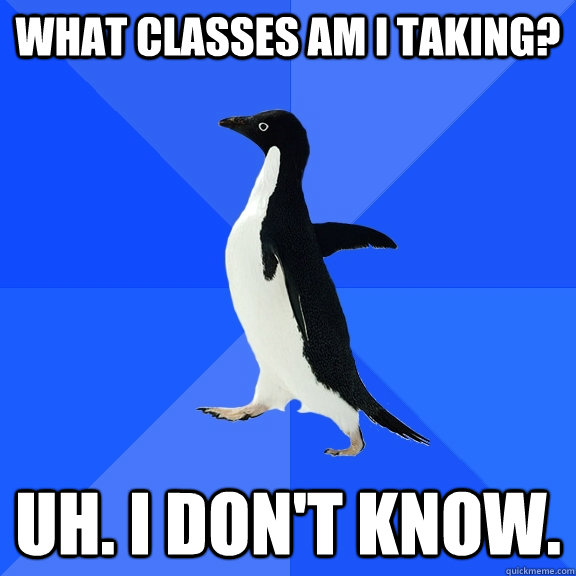 What classes am I taking? Uh. I don't know.  Socially Awkward Penguin