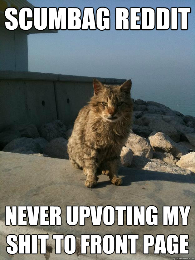 Scumbag Reddit Never upvoting my shit to front page  Bitter Cat