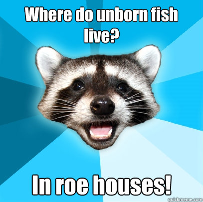 Where do unborn fish live? In roe houses!  Lame Pun Coon