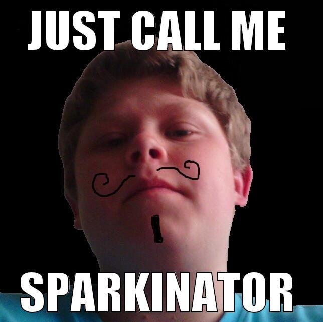 JUST CALL ME SPARKINATOR Misc