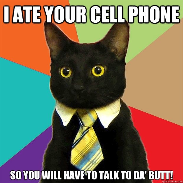 I ate your cell phone  so you will have to talk to da' butt!  Business Cat