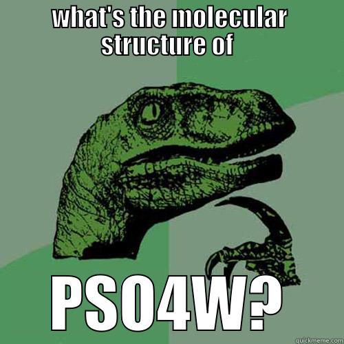 WHAT'S THE MOLECULAR STRUCTURE OF  PSO4W? Philosoraptor