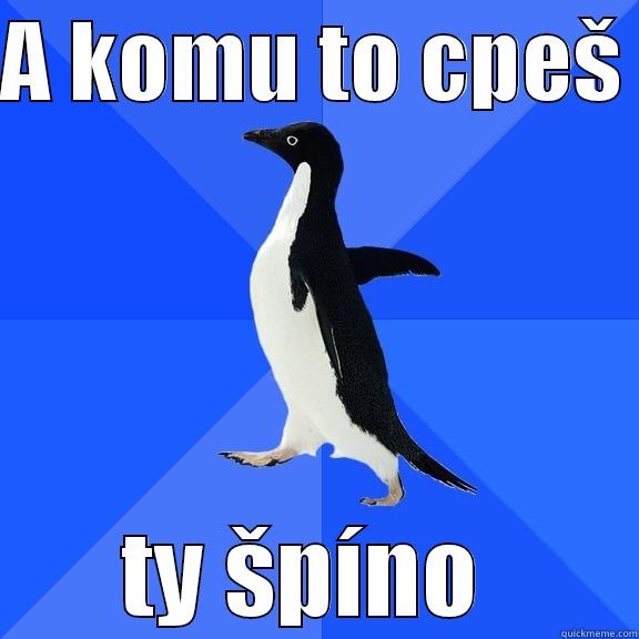 A KOMU TO CPEŠ  TY ŠPÍNO  Socially Awkward Penguin