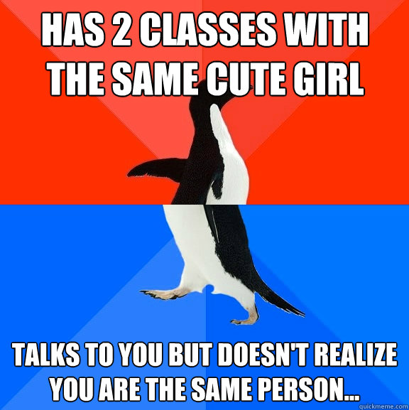 has 2 classes with the same cute girl  talks to you but doesn't realize you are the same person...  Socially Awesome Awkward Penguin