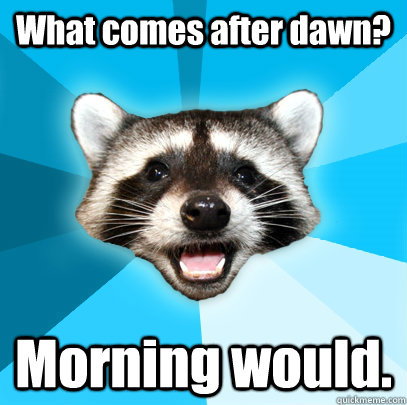 What comes after dawn? Morning would.  Lame Pun Coon