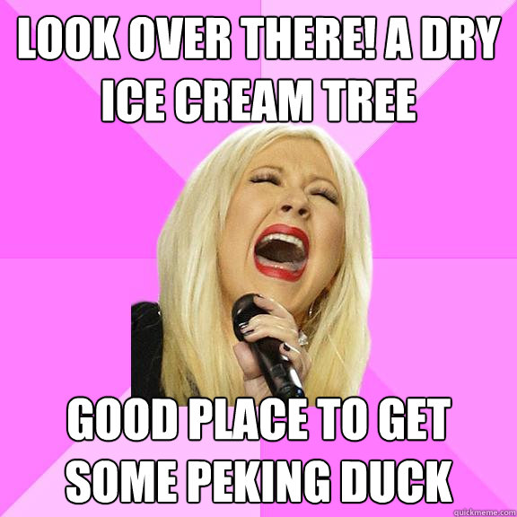 look over there! A dry ice cream tree good place to get some peking duck  Wrong Lyrics Christina