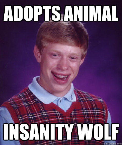 adopts animal insanity wolf - adopts animal insanity wolf  Bad Luck Brian