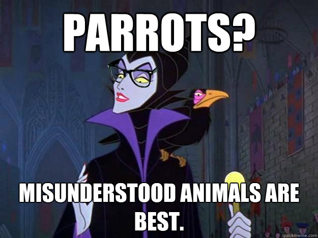 PARROTS? misunderstood animals are best.  Hipster Maleficent