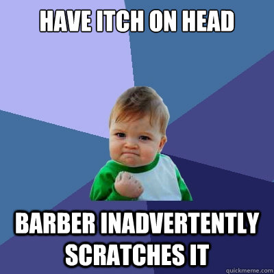 have itch on head barber inadvertently scratches it - have itch on head barber inadvertently scratches it  Success Kid