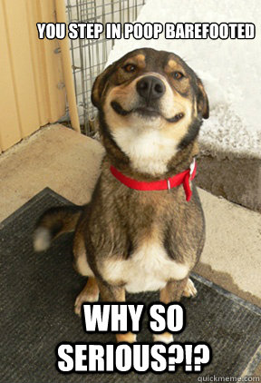 You Step in Poop Barefooted  Why so Serious?!?   Good Dog Greg