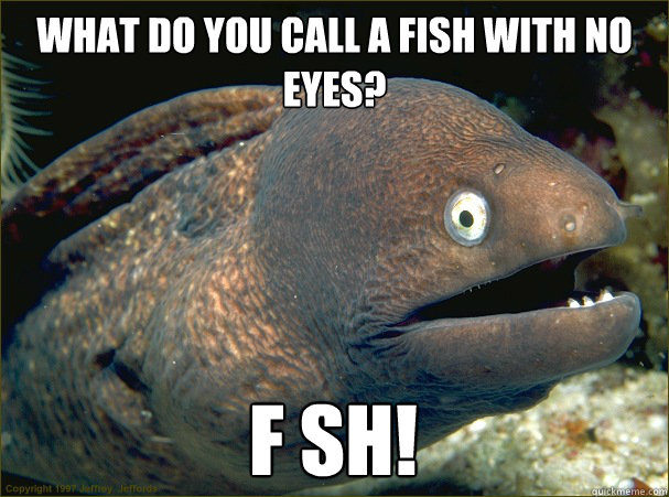what do you call a fish with no eyes? F SH! - what do you call a fish with no eyes? F SH!  Bad Joke Eel