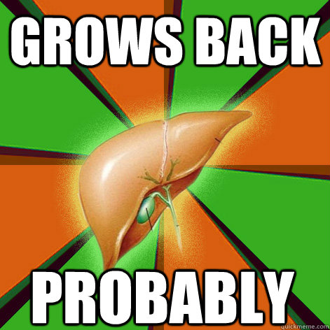 gROWS BACK Probably  Scumbag Liver