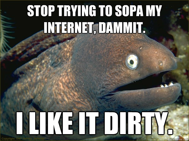 Stop trying to SOPA my internet, dammit.  I like it Dirty.  Bad Joke Eel