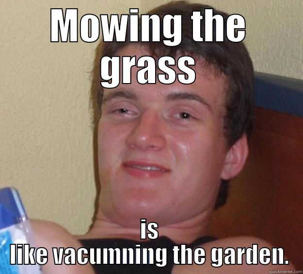 MOWING THE GRASS IS LIKE VACUMNING THE GARDEN. 10 Guy