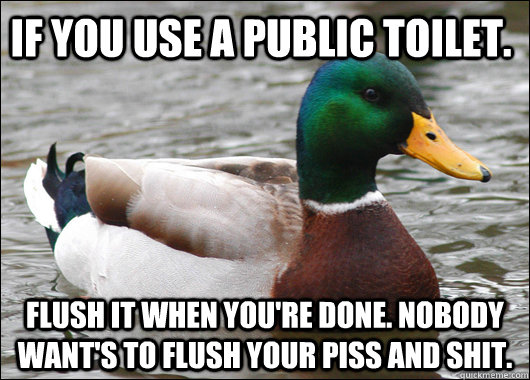 If you use a public toilet. Flush it when you're done. Nobody want's to flush your piss and shit.  Actual Advice Mallard