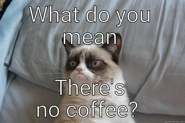 No coffee??? - WHAT DO YOU MEAN THERE'S NO COFFEE?  Grumpy Cat