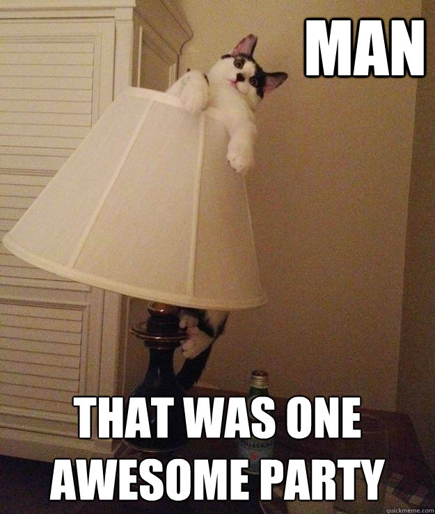 Man that was one awesome party - Man that was one awesome party  Party Cat