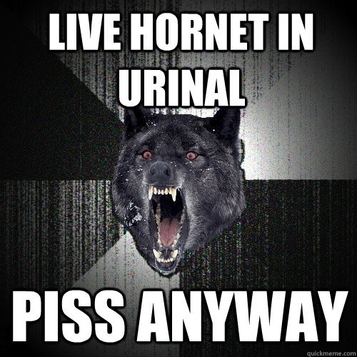 Live hornet in urinal piss anyway  Insanity Wolf