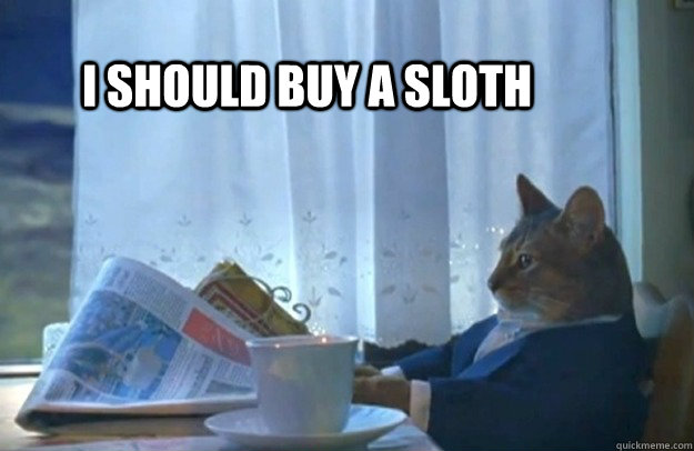 I should buy a sloth  Sophisticated Cat
